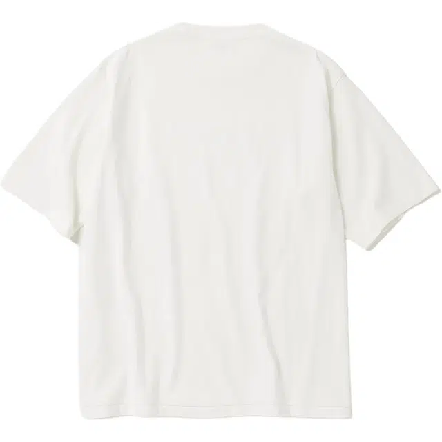 Champion SS25 T