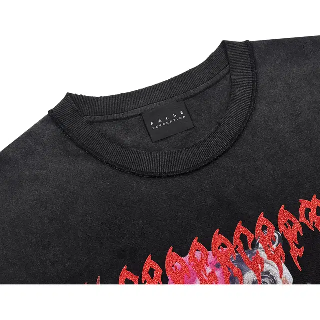 False Perception T