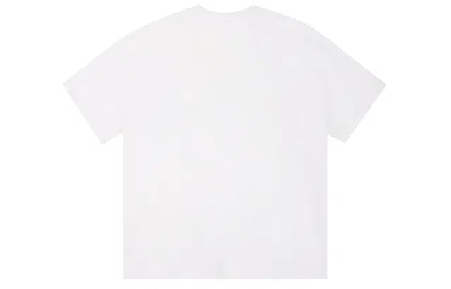 ICONS Lab ICS T
