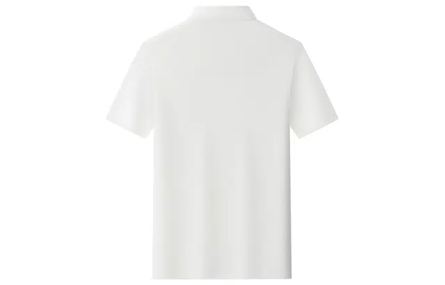 MindBridge LogoPolo