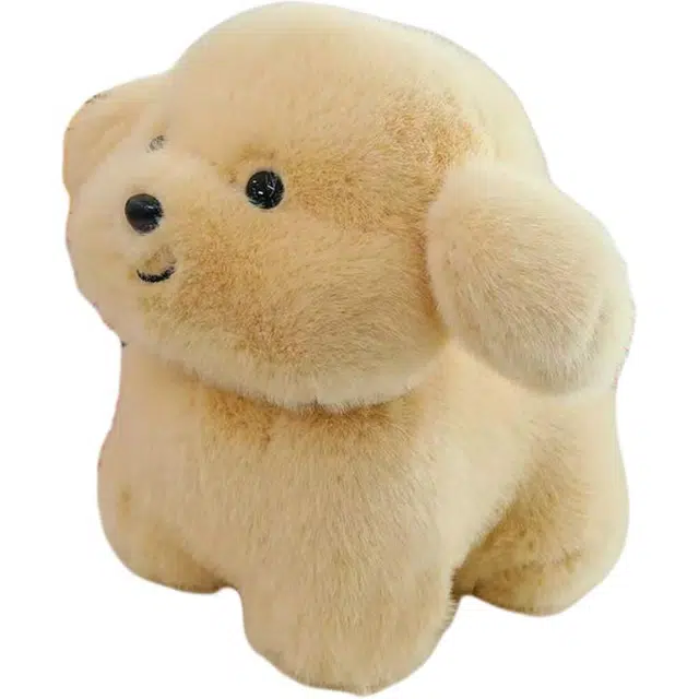 20cm30cm