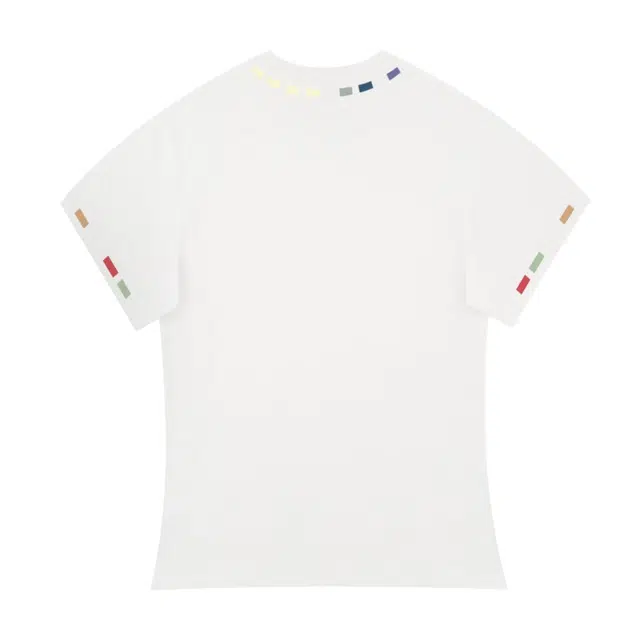 Aaisup LOGO T