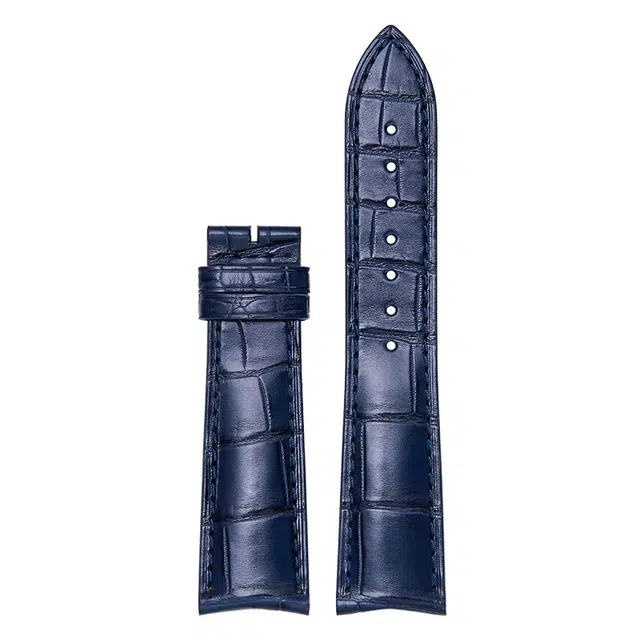 iStrap 2021mm