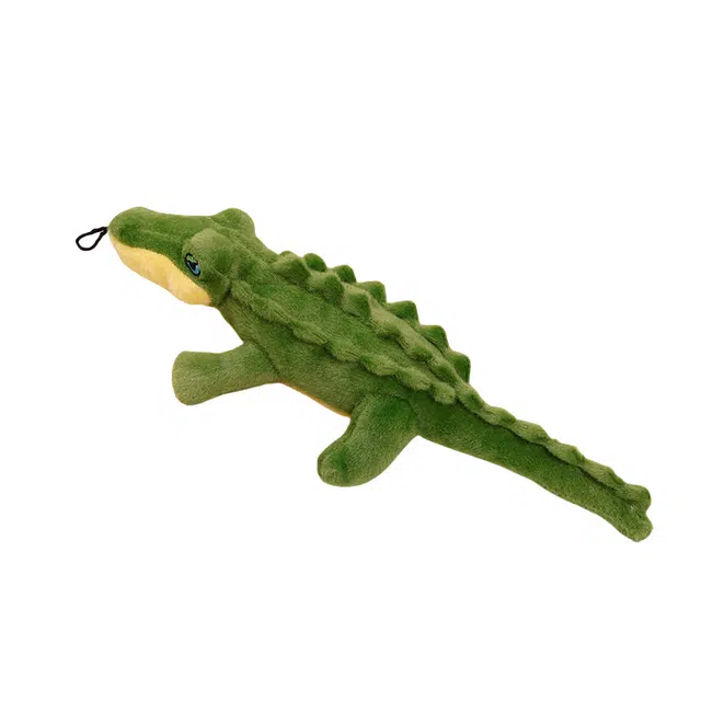 30cm
