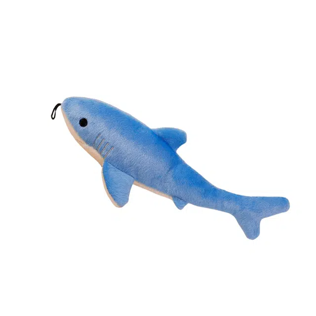 30cm
