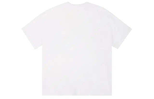 ICONS Lab ICS T