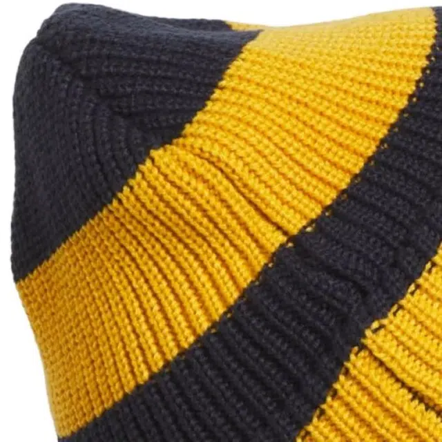 adidas originals The Gonz 100