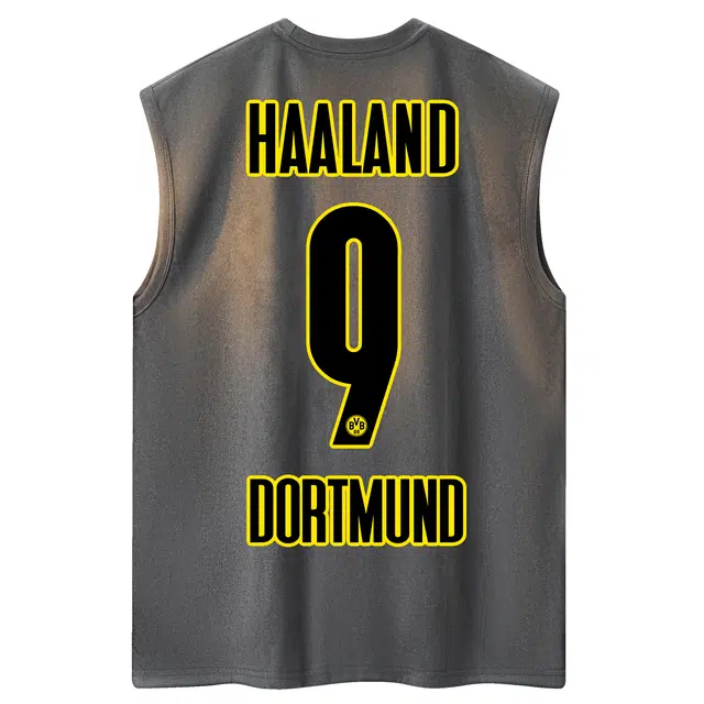 haalandLOGOVintage