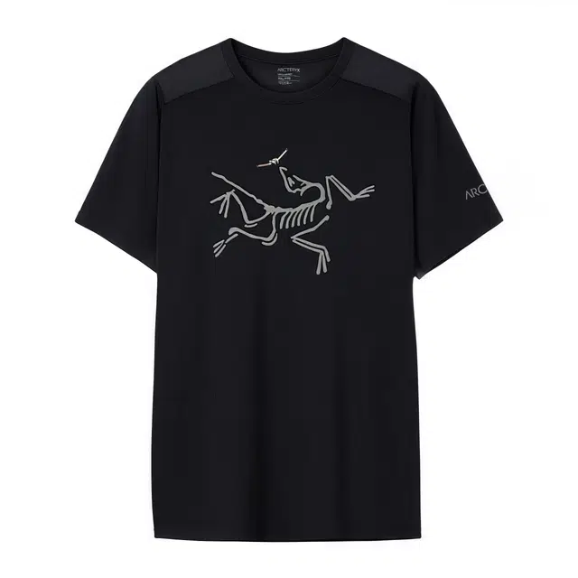 Arcteryx Ionia Merino Wool logoT -Black