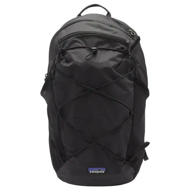 patagonia Terravia 22L Logo