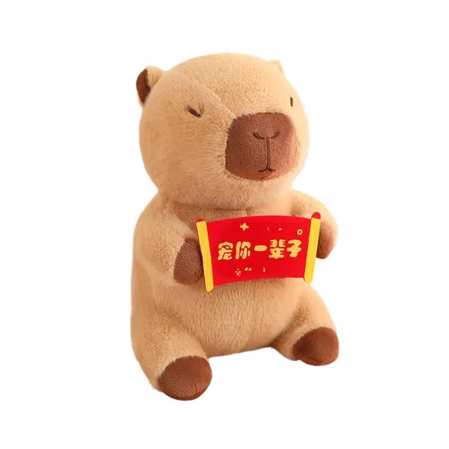 YOUMAI 23cm30cm