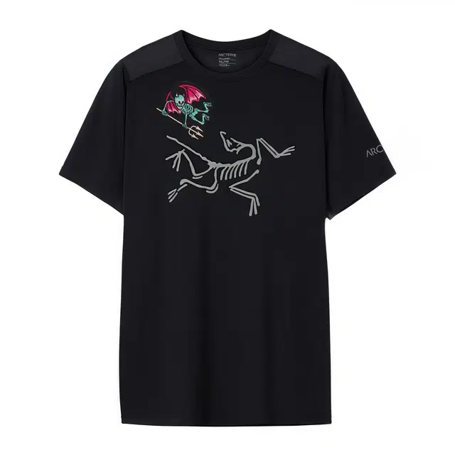 Arcteryx Ionia Merino Wool logoT -Black