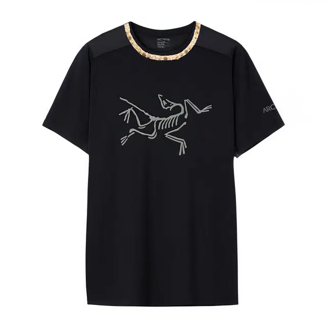 Arcteryx Ionia Merino Wool LogoT Black