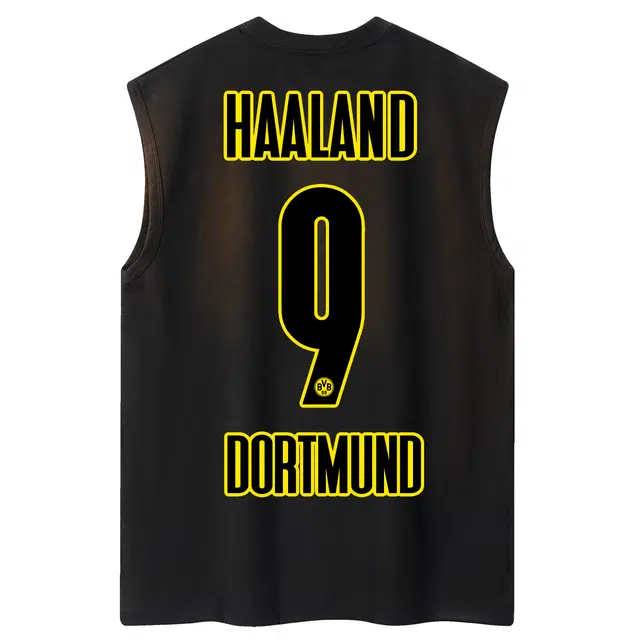 haalandLOGOVintage