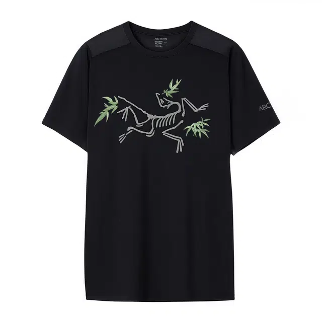 Arcteryx Ionia Merino Wool LOGOT Black