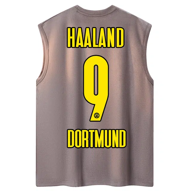 haalandLOGOVintage
