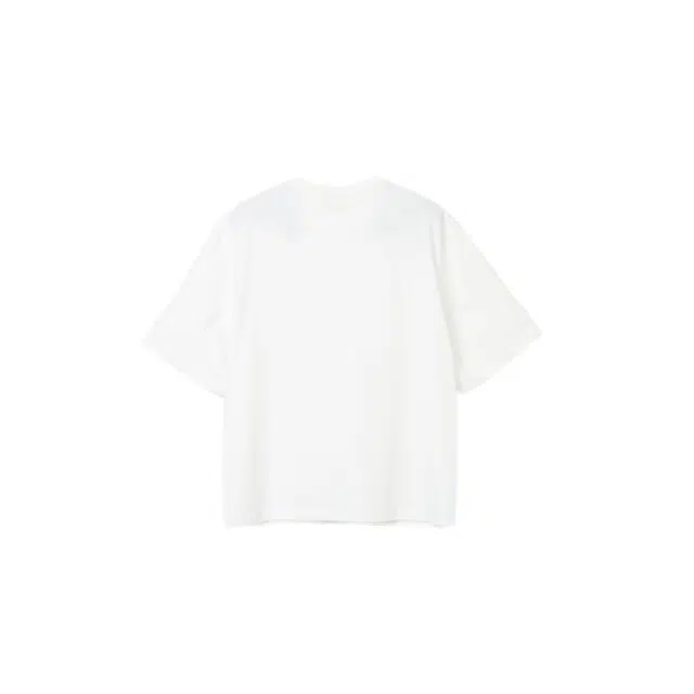 BASIC MATCH T
