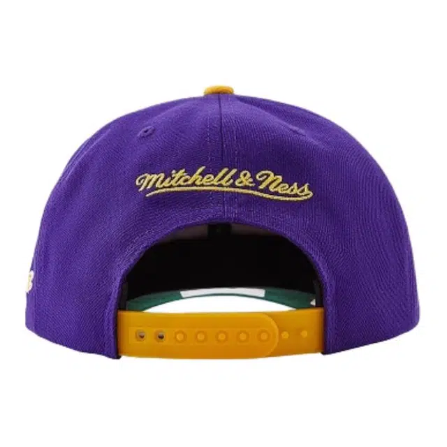 Mitchell Ness 100