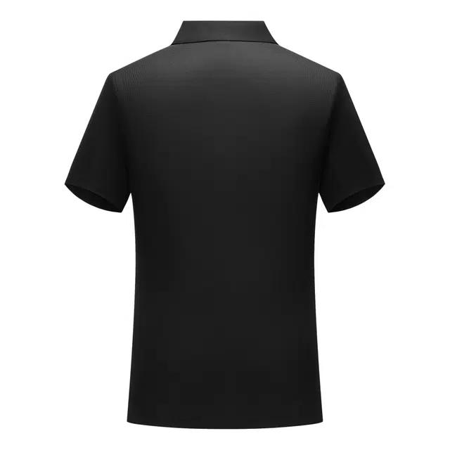 MindBridge LogoPolo