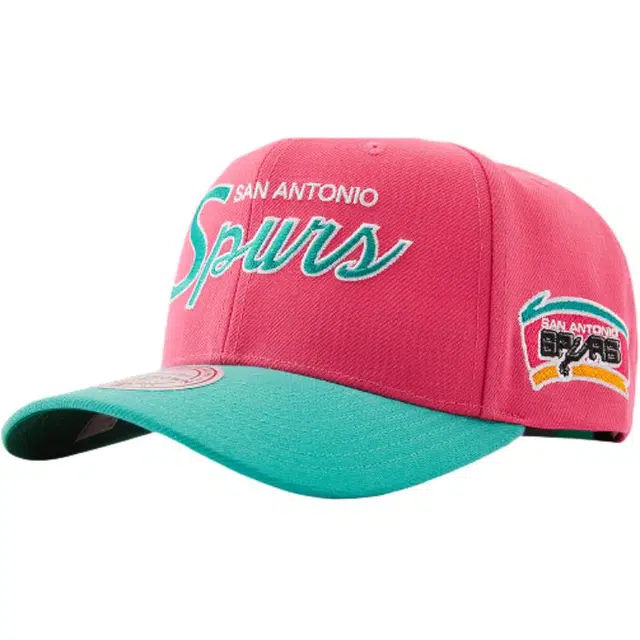 Mitchell Ness 100