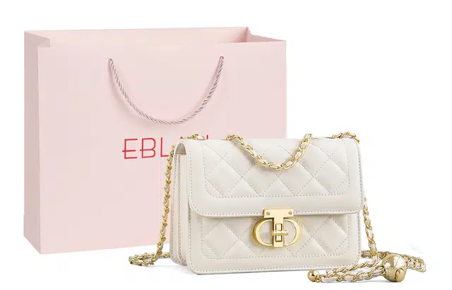 EBLAN ins