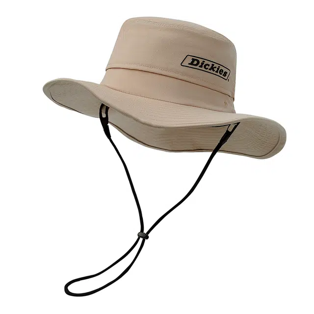 Dickies
