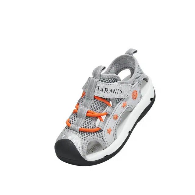 TARANIS