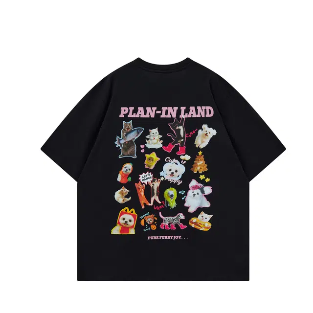 PLAN IN T