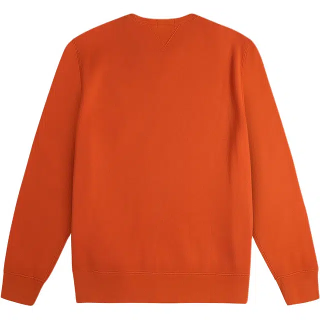 Polo Ralph Lauren FW24 Logo