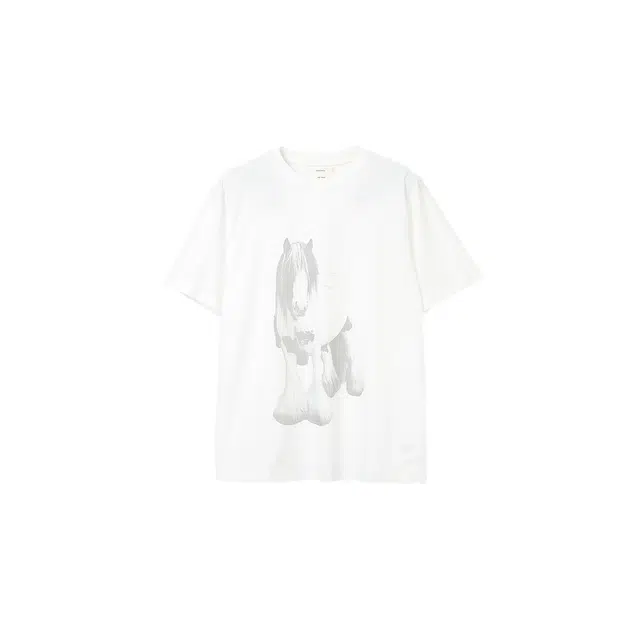 BASIC MATCH T