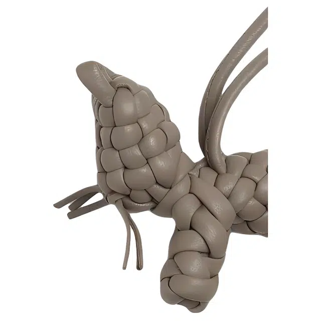 Bottega Veneta Intreccio