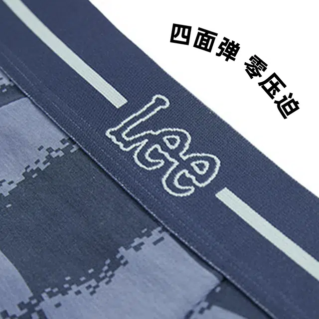 Lee 4