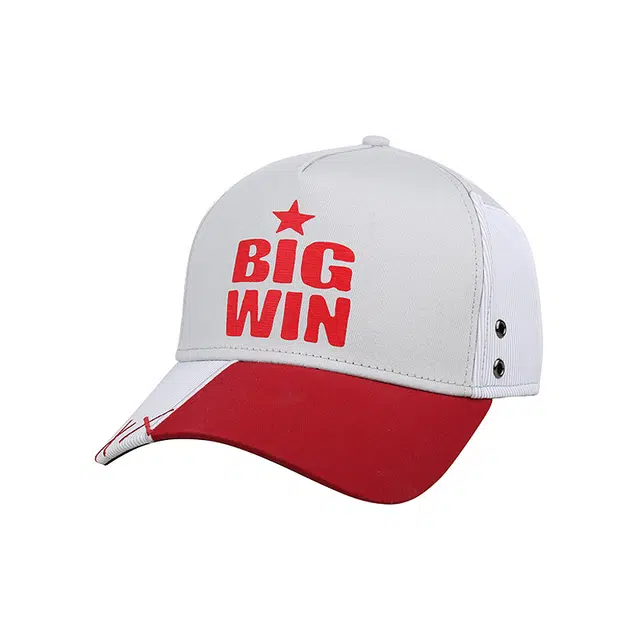 SWOFCARE BIGWIN