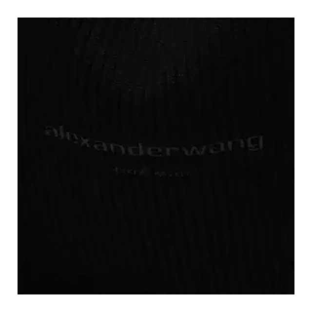 alexander wang
