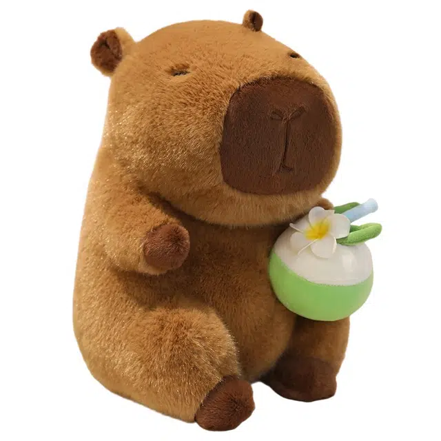 YOUMAI 22cm30cm