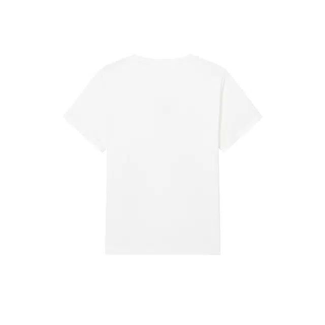Hotwind T
