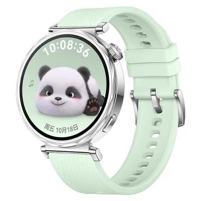 watchbond 204mm GT5watchgt5proGT418mm