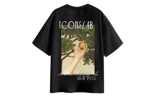 ICONS Lab T