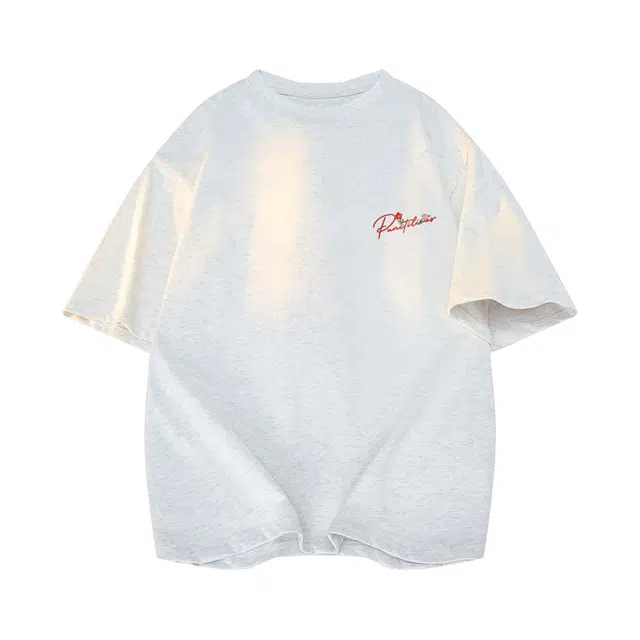 PUNCTILIOUS T
