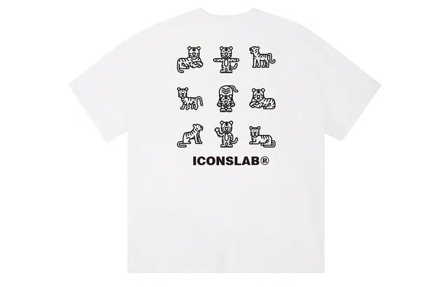ICONS Lab ICS T