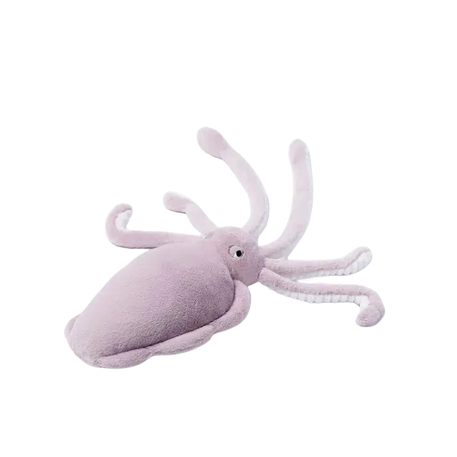McHugs 25cm
