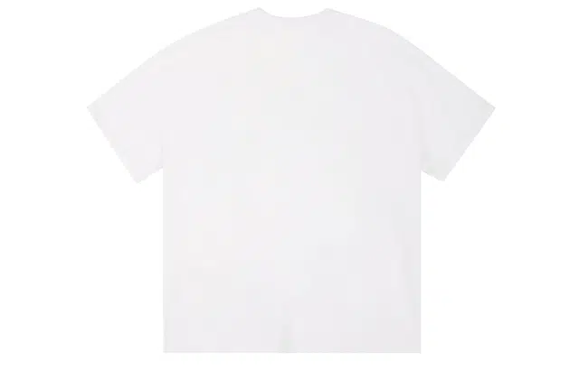 ICONS Lab ICS T
