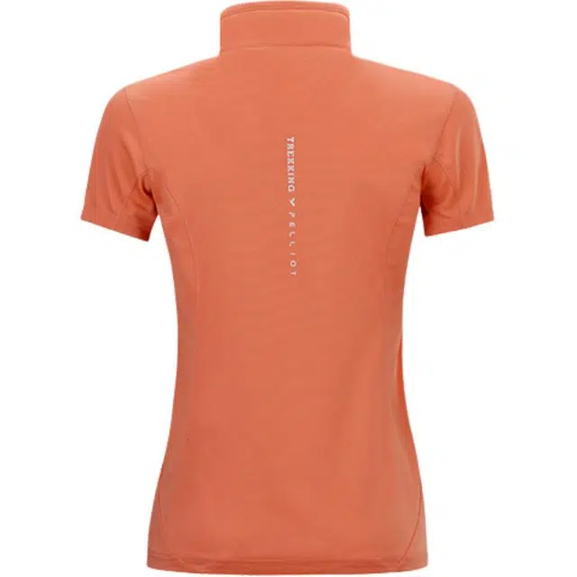 PELLIOT T
