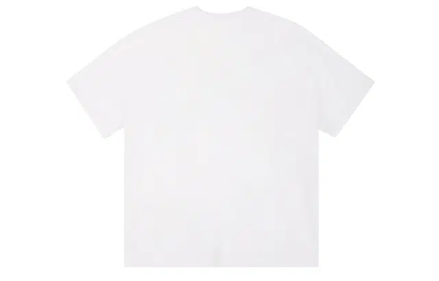 ICONS Lab ICS T