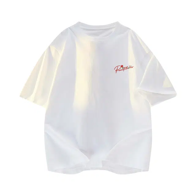 PUNCTILIOUS T