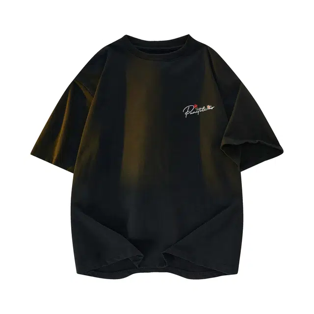 PUNCTILIOUS T