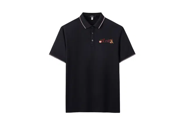CSKS LogoPolo