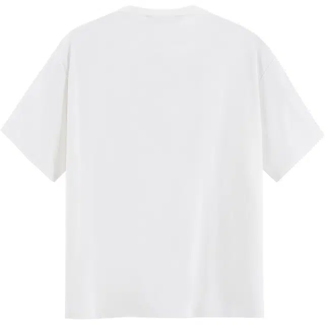 ICONS Lab ICS T