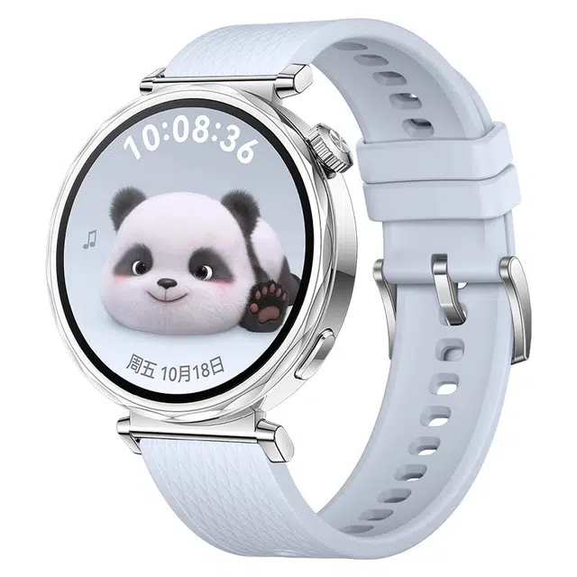 watchbond 204mm GT5watchgt5proGT418mm