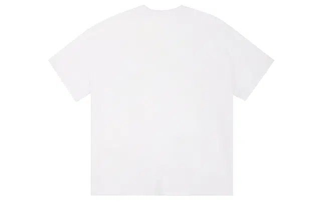 ICONS Lab ICS T